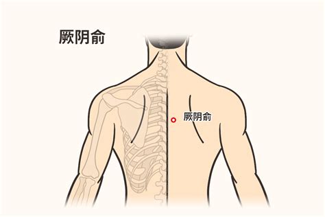 55年次生肖 神厥穴位置